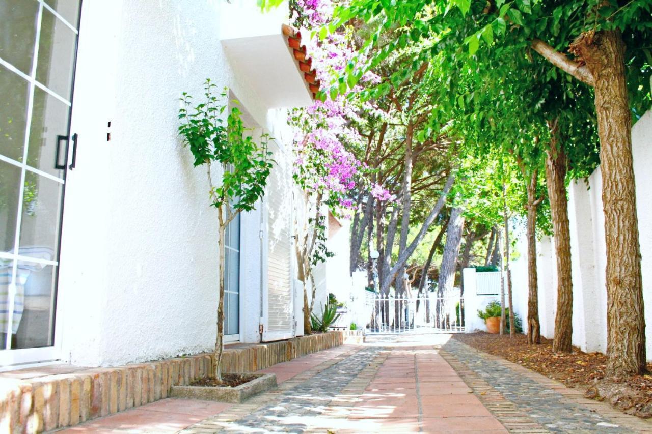 Lovely Next To The Beach